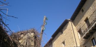 poste_de_luz__barrio_lupera_uxue