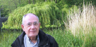 luismgara