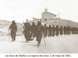 docetafalla
