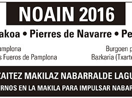 NOTICIA_NOAIN_WEB