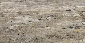 image005