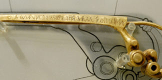 fibula