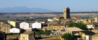 mfruto1