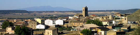 mfruto1