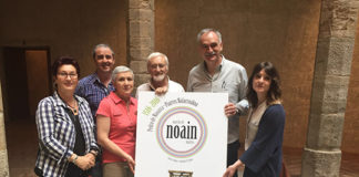 noain2016b
