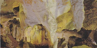 alkerdicantera