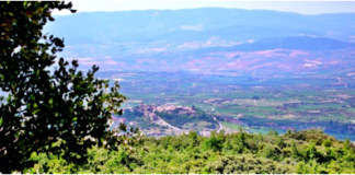 arioja01