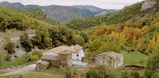 mikelzuzasincobertura1