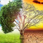 CAMBIOCLIMA