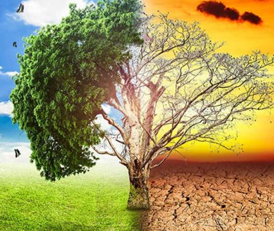CAMBIOCLIMA