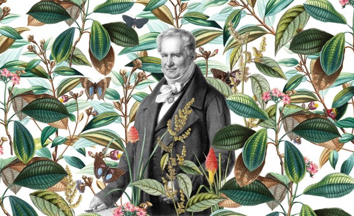 HUMBOLDT