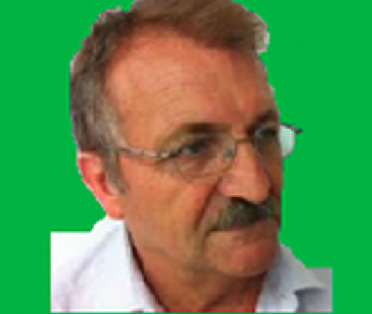 DOMINGOSANZ