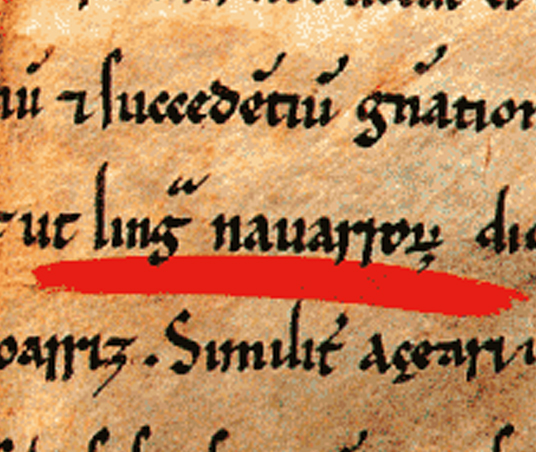 LINGUA NAVARRORUN