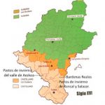 AORIGENDE10