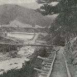 ALEOPOLDO01