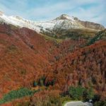 Carta a la Navarra vacía