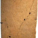 AGENESIS25