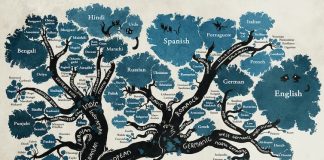 Árbol genealógico de las lenguas indoeuropeas realizado por la artista Minna Sundberg en su libro _Stand Still. Stay Silent_.