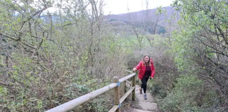 Escaleras de acceso al alto donde se encuentra la fortificación.