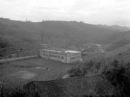 atzera-begira1