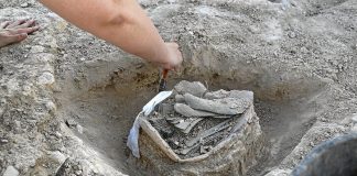 Fotografías: Patrimonio del Gobierno de Nafarroa